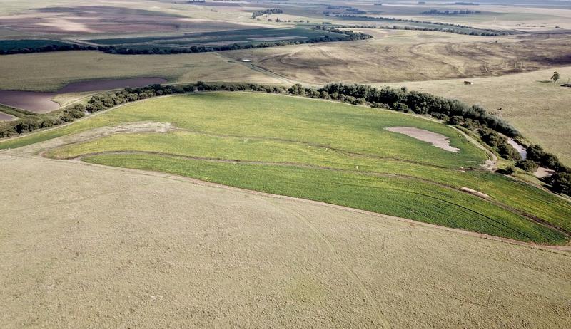 0 Bedroom Property for Sale in Harrismith Free State